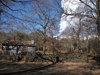 fugio Pianobello04032012 003